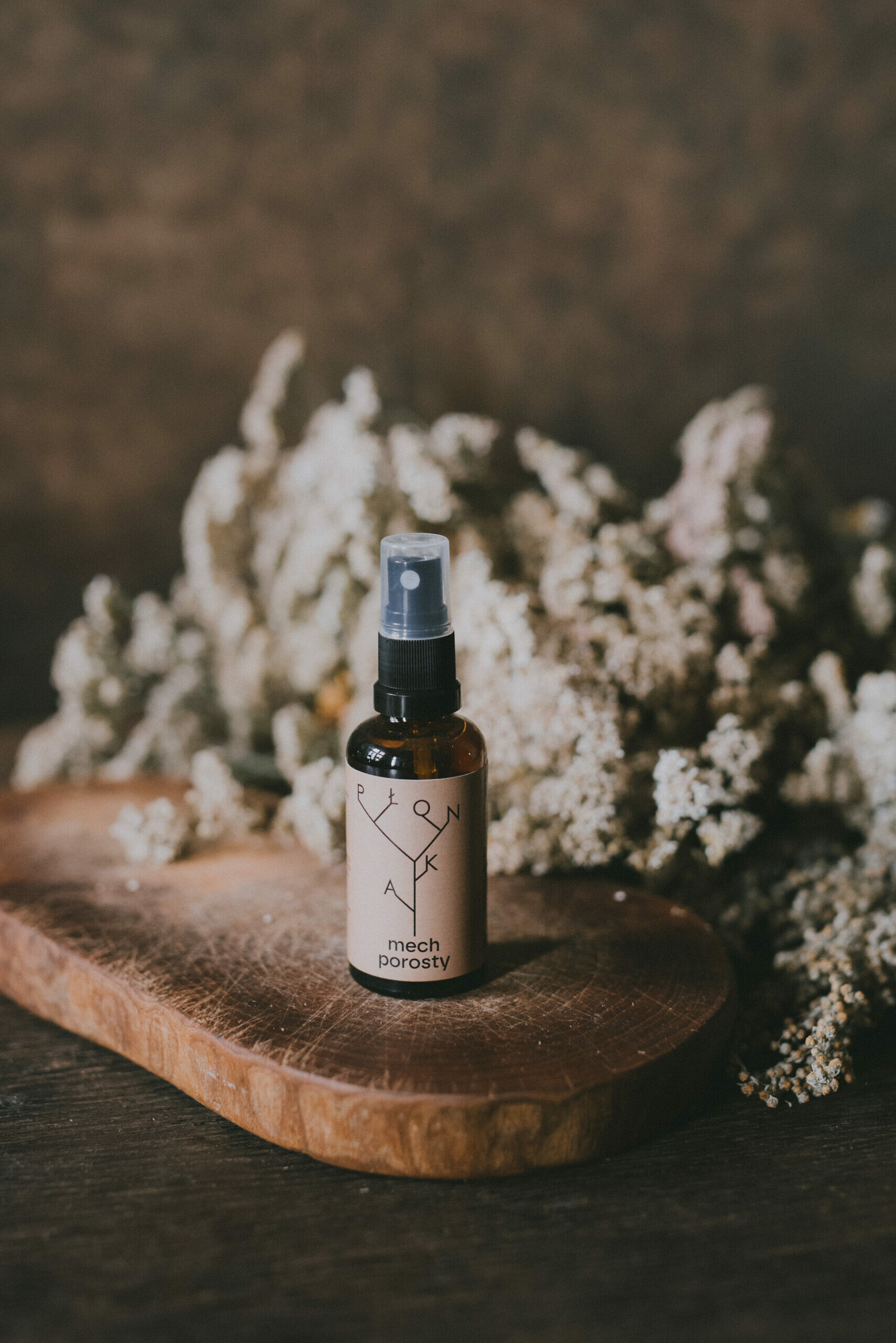 Mgła otulająca Mech + porosty