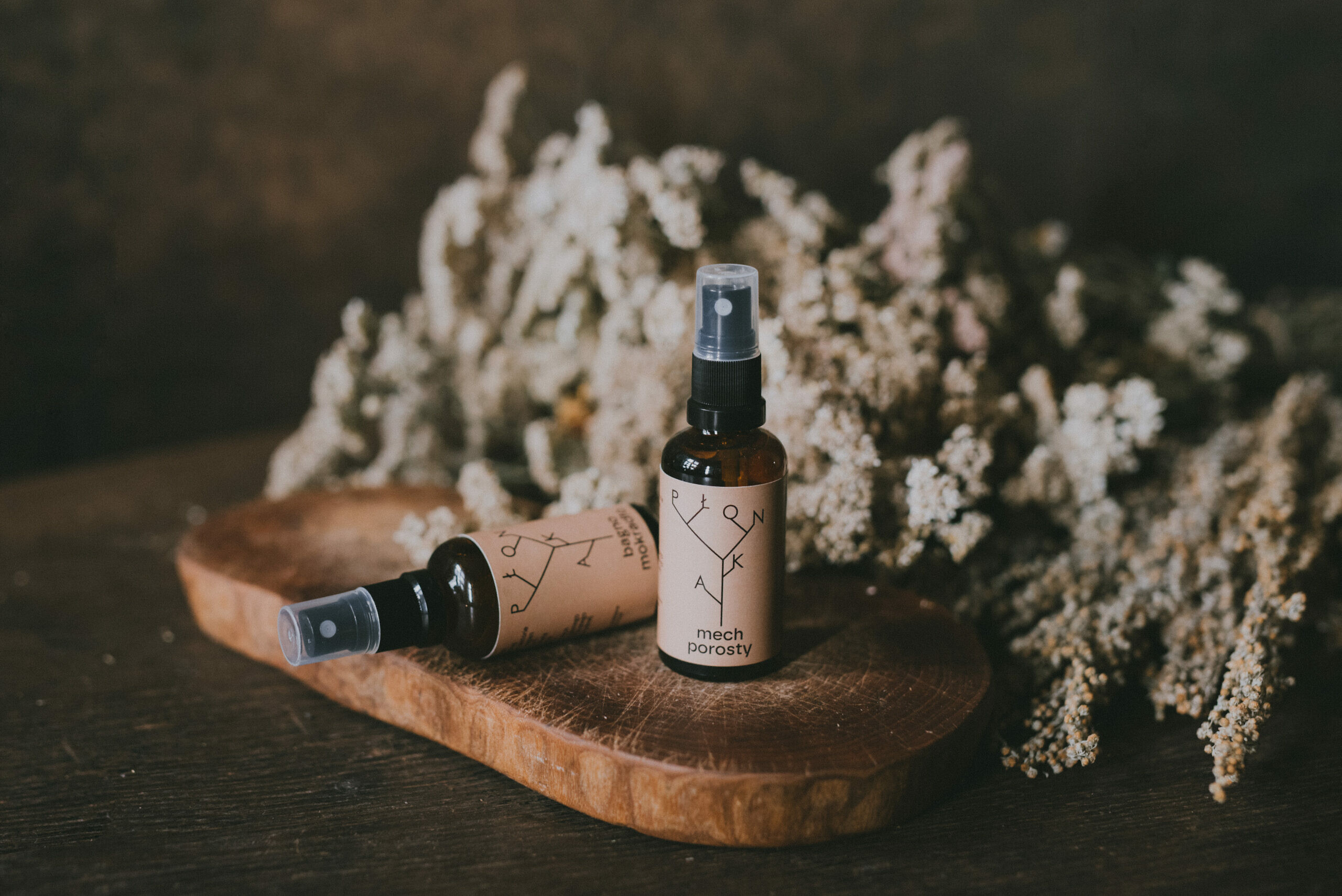 Mgła otulająca Mech + porosty - obrazek 2