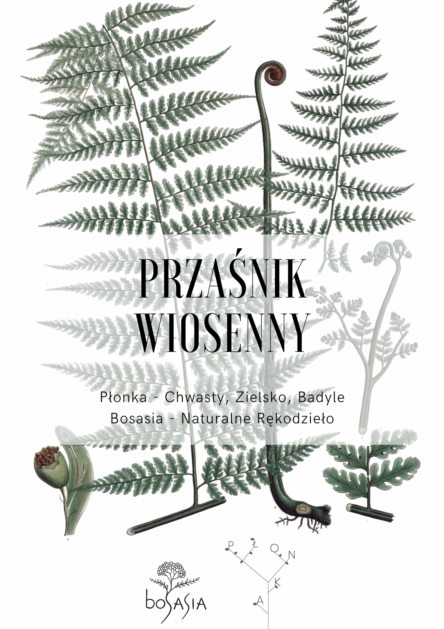 Przaśnik Wiosenny 2022