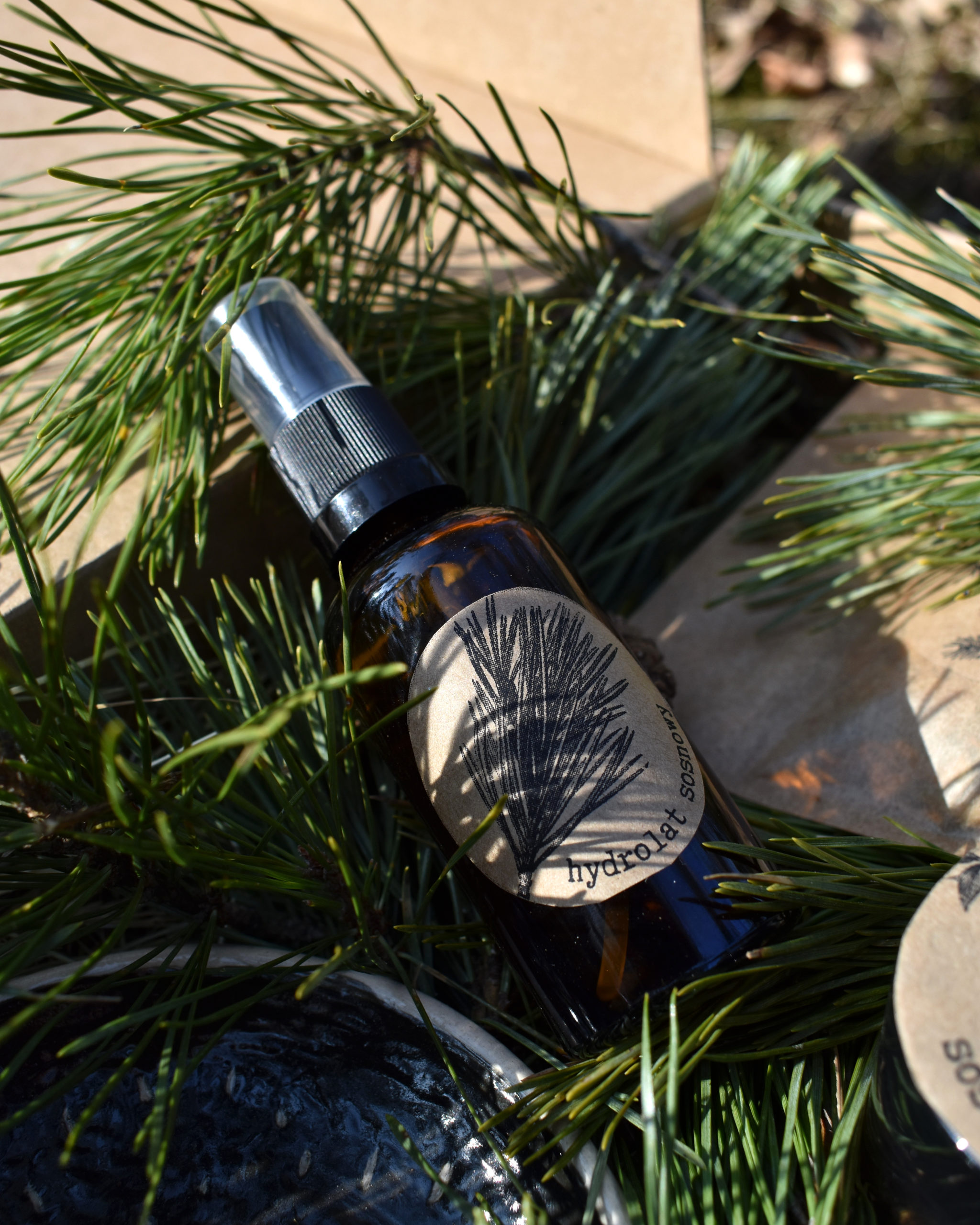 Przaśnik Wiosenny 2022 - obrazek 4