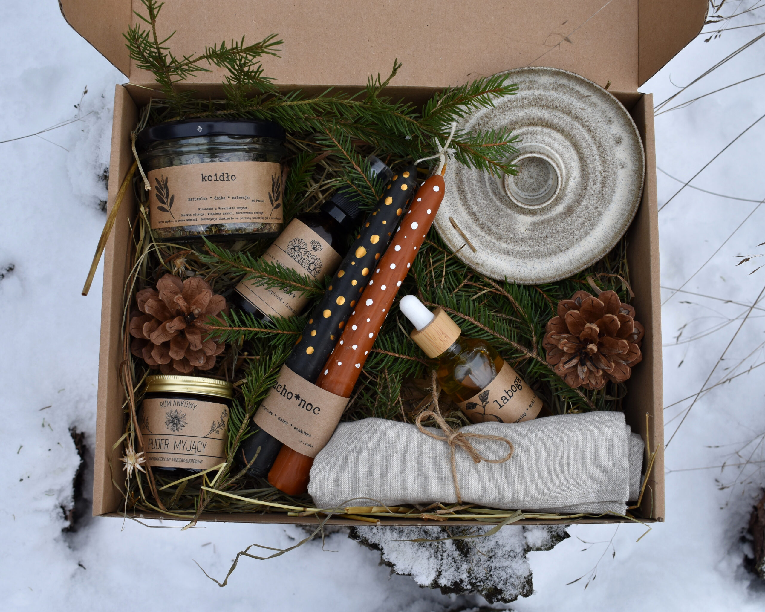 Przaśnik Zimowy - obrazek 2