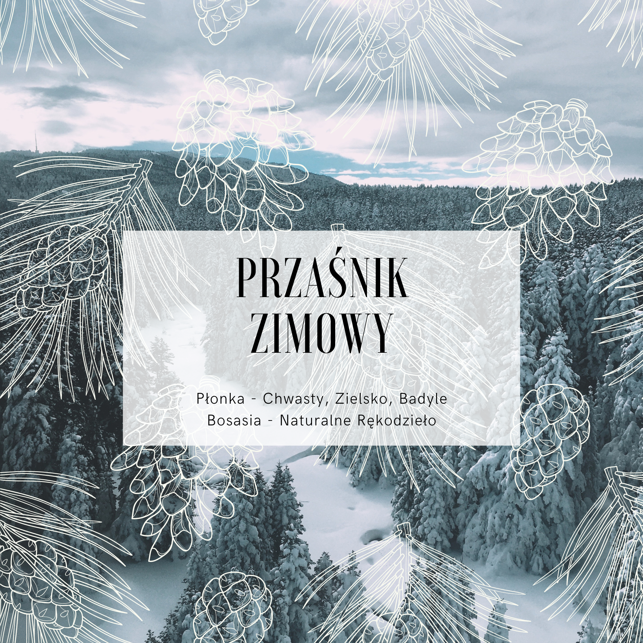 Przaśnik Zimowy