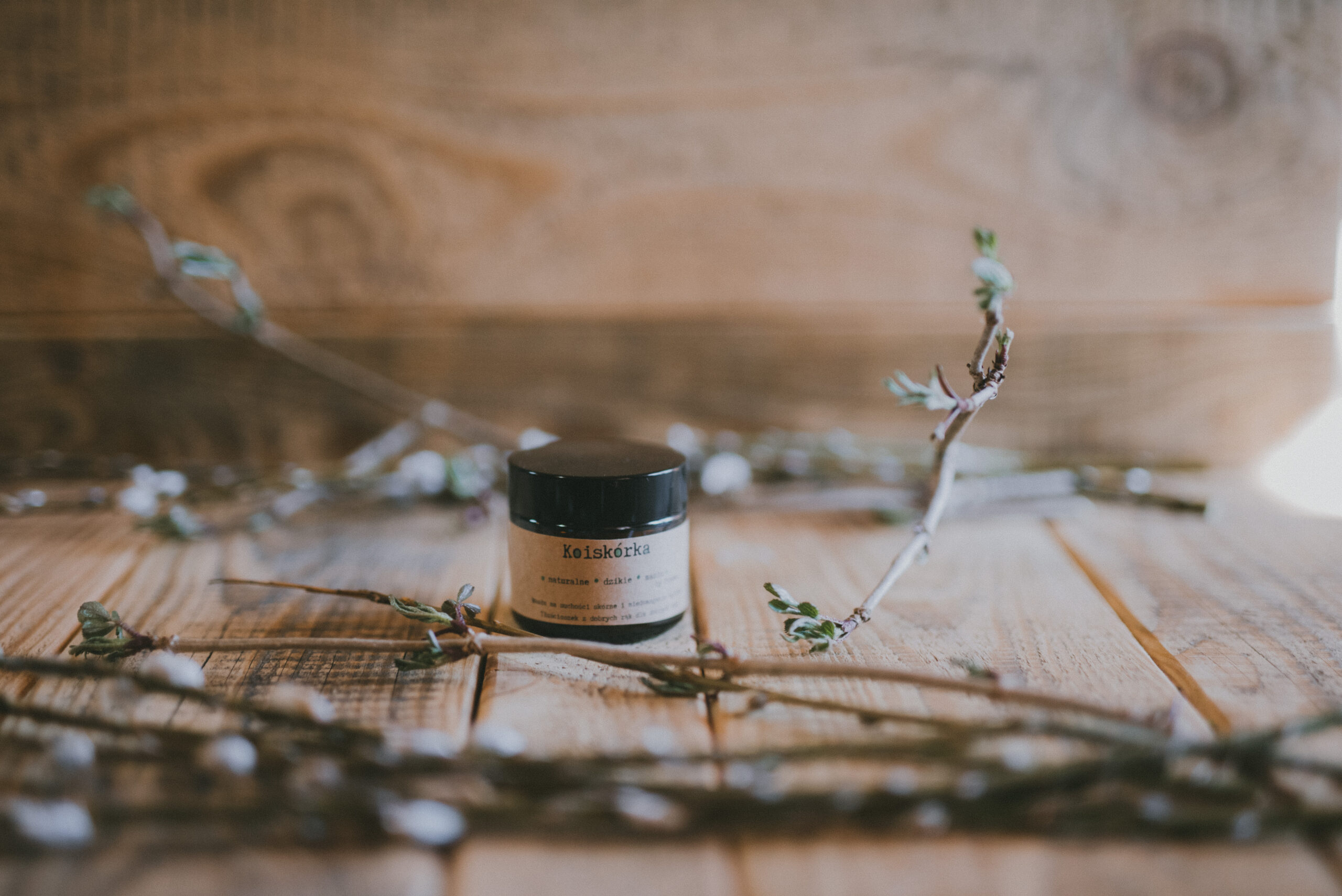 Przaśnik Wiosenny 2023 - obrazek 4