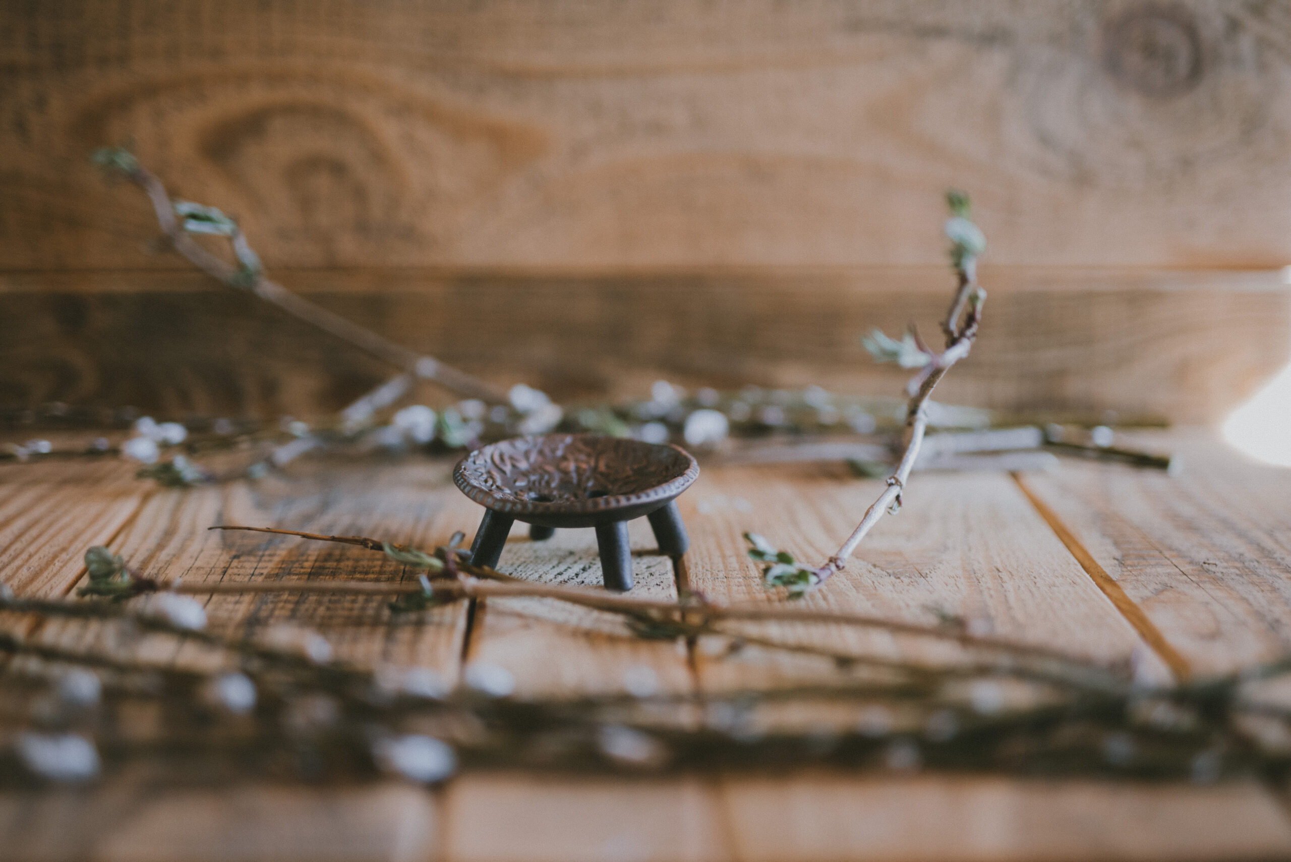 Przaśnik Wiosenny 2023 - obrazek 5