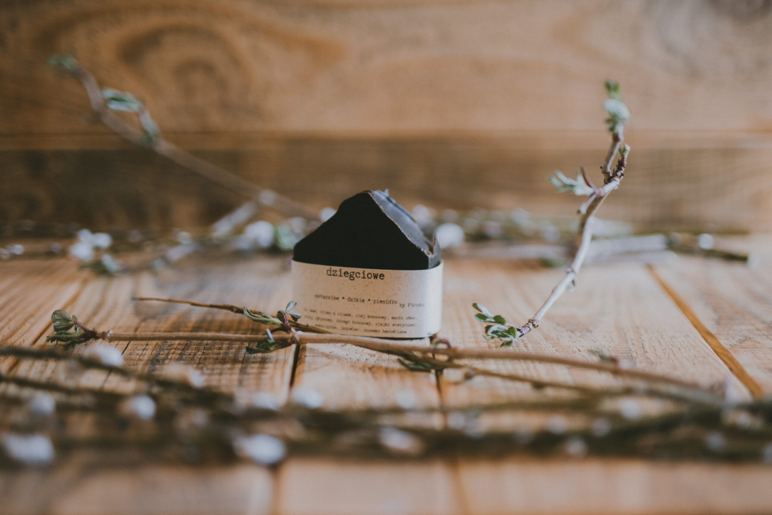 Przaśnik Wiosenny 2023 - obrazek 6