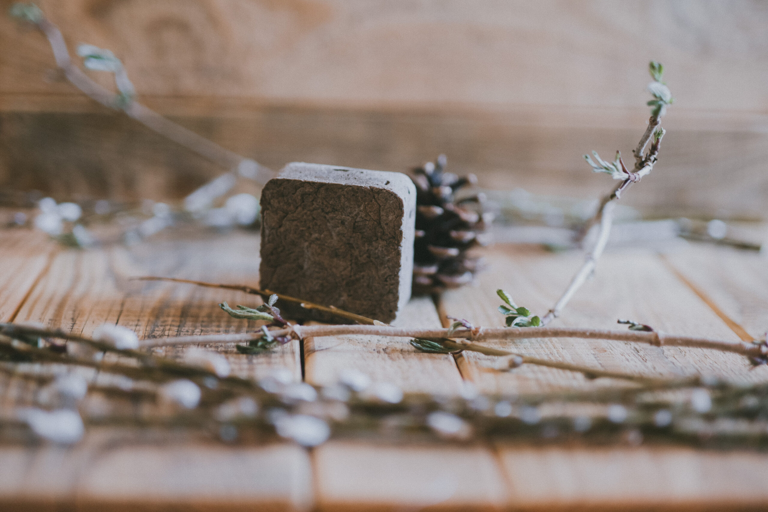 Przaśnik Wiosenny 2023 - obrazek 8