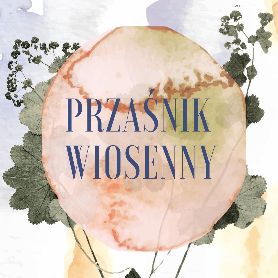 Przaśnik Wiosenny 2024 WYPRZEDANY