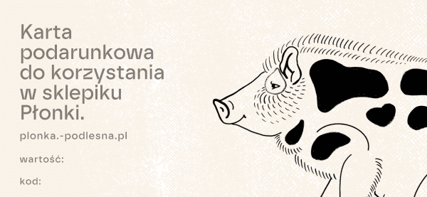 Karta podarunkowa - obrazek 3