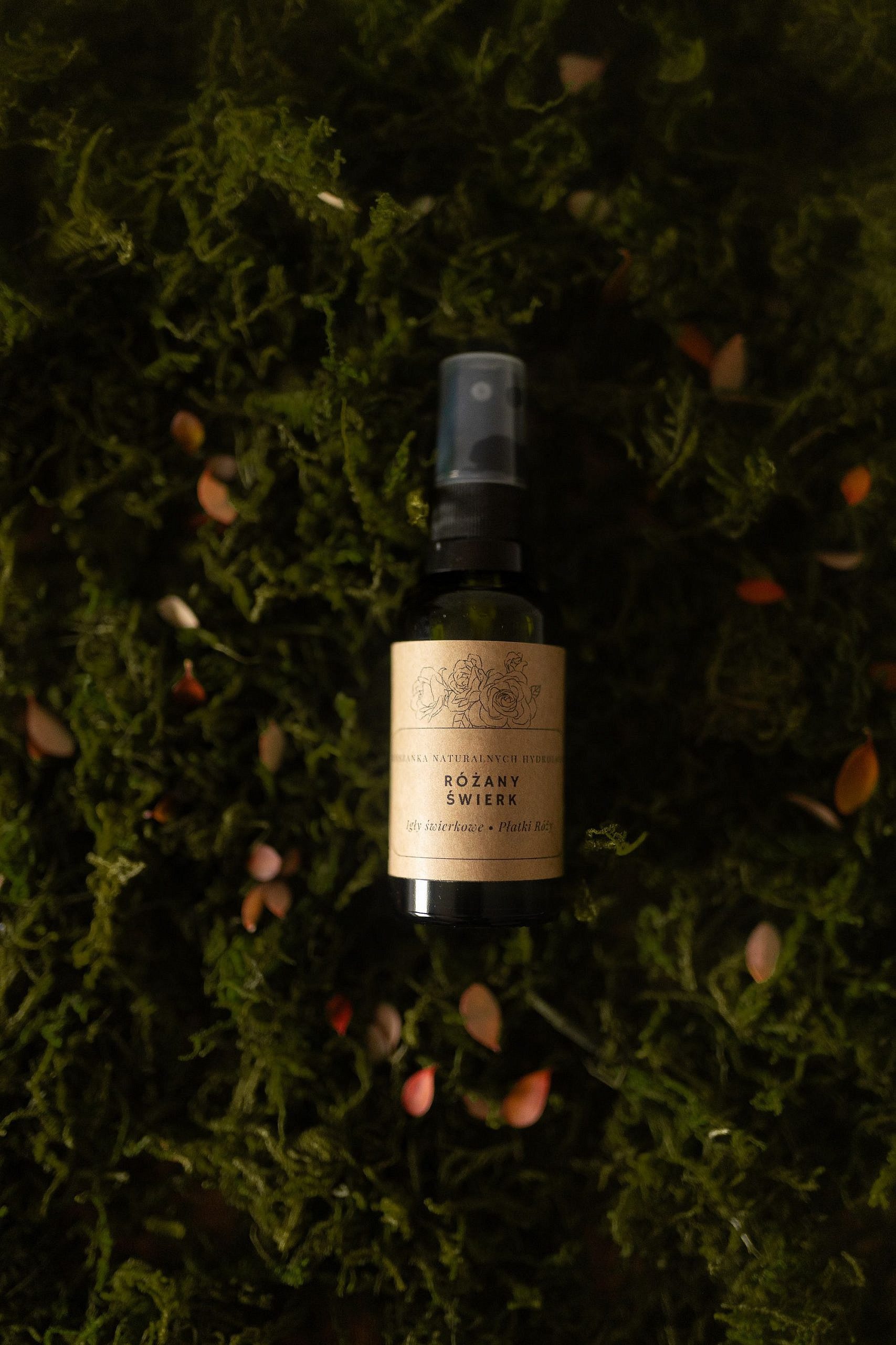 Przaśnik Zimowy Leśna Rosa 2024 PREMIERA - obrazek 6