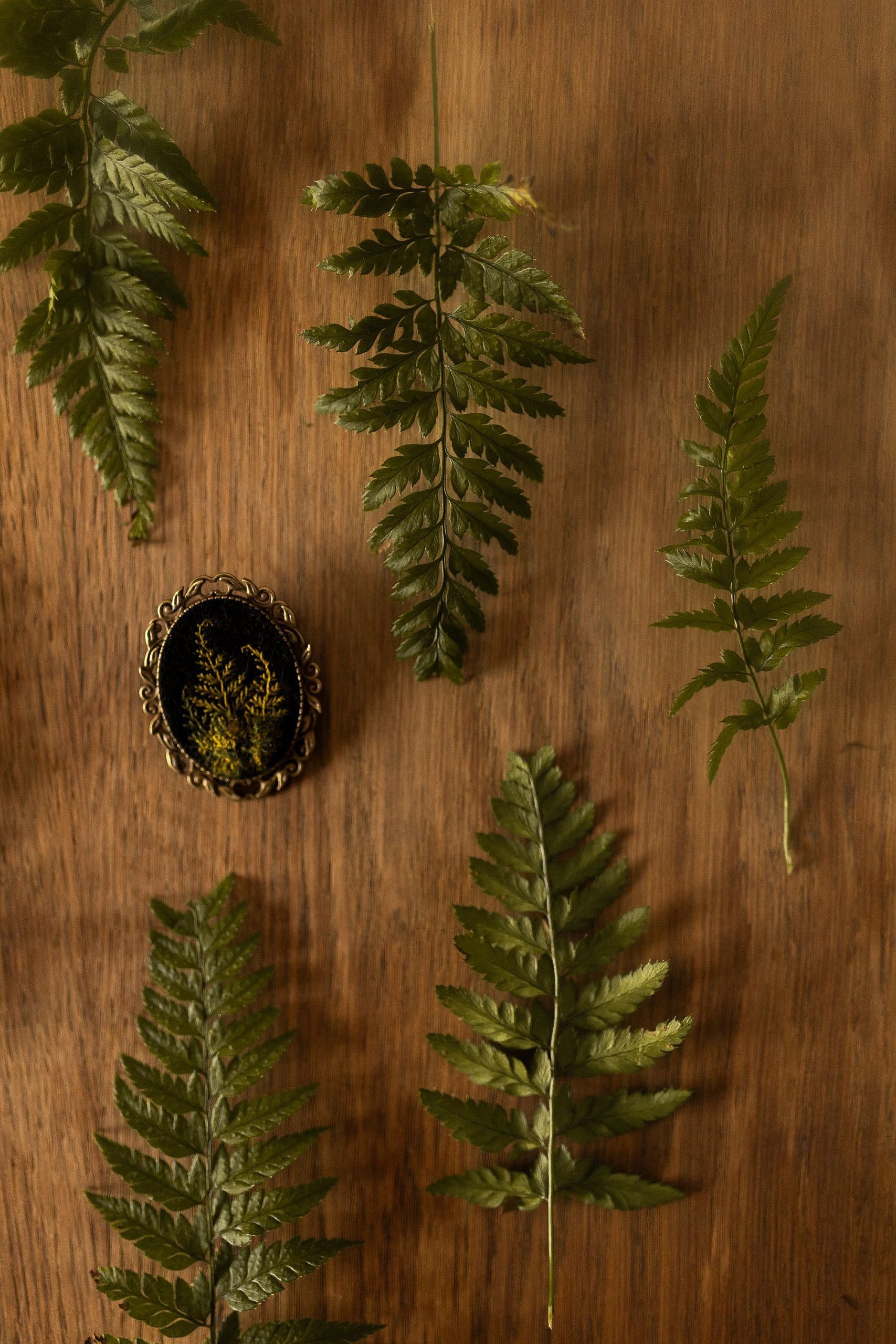 Przaśnik Zimowy Leśna Rosa 2024 PREMIERA - obrazek 8