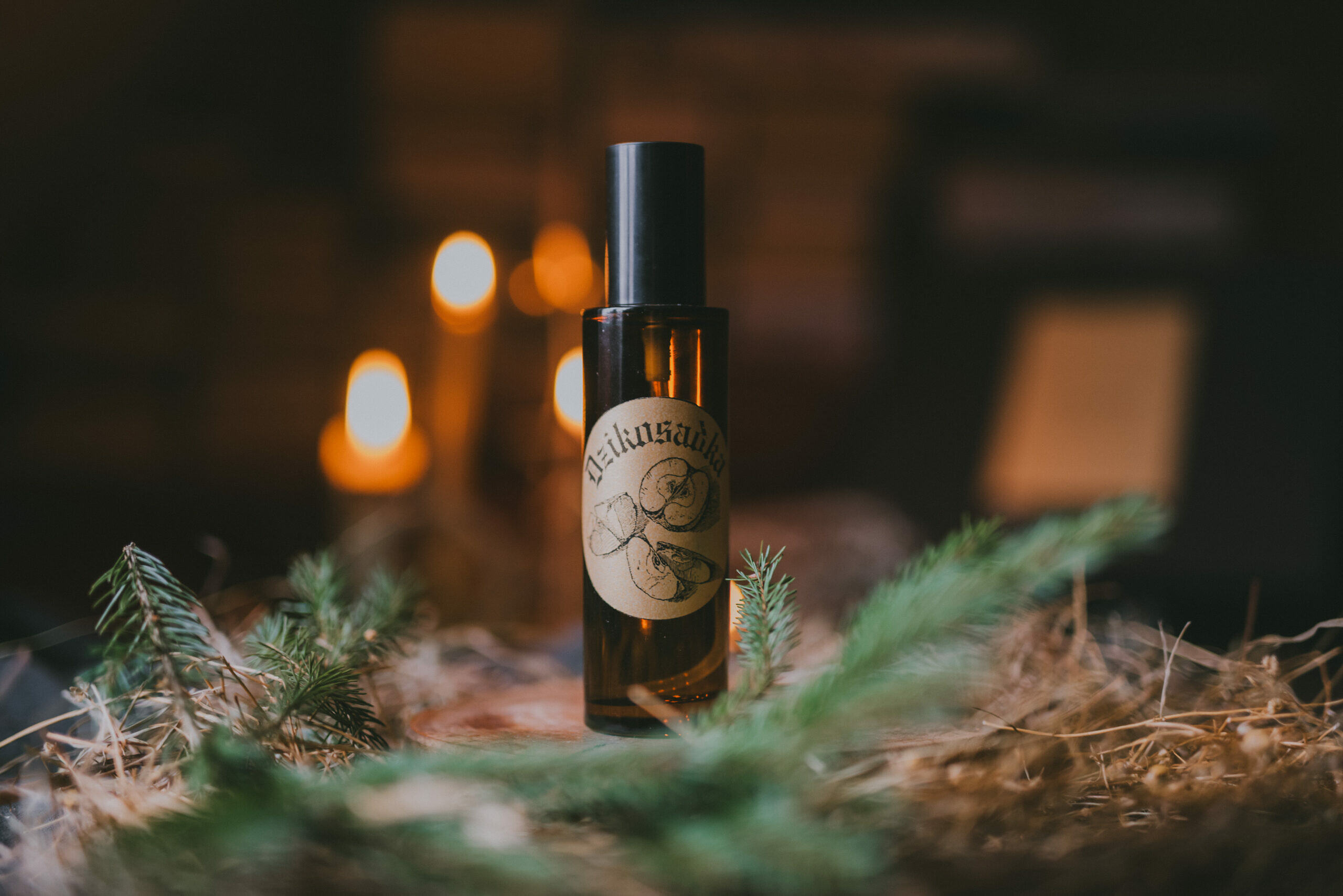 Przaśnik Zimowy 2025 PREMIERA - obrazek 10