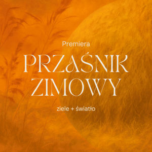 Przaśnik Zimowy 2025 PREMIERA