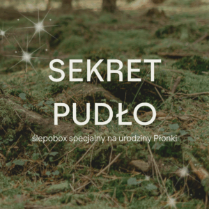 Sekretpudło urodzinowe